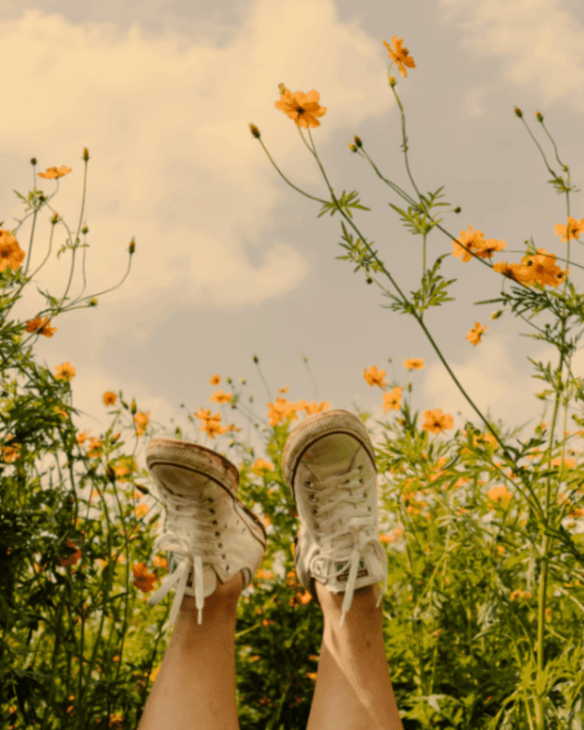 Breathe Easy: How Mindfulness Can Rescue You from Burnout