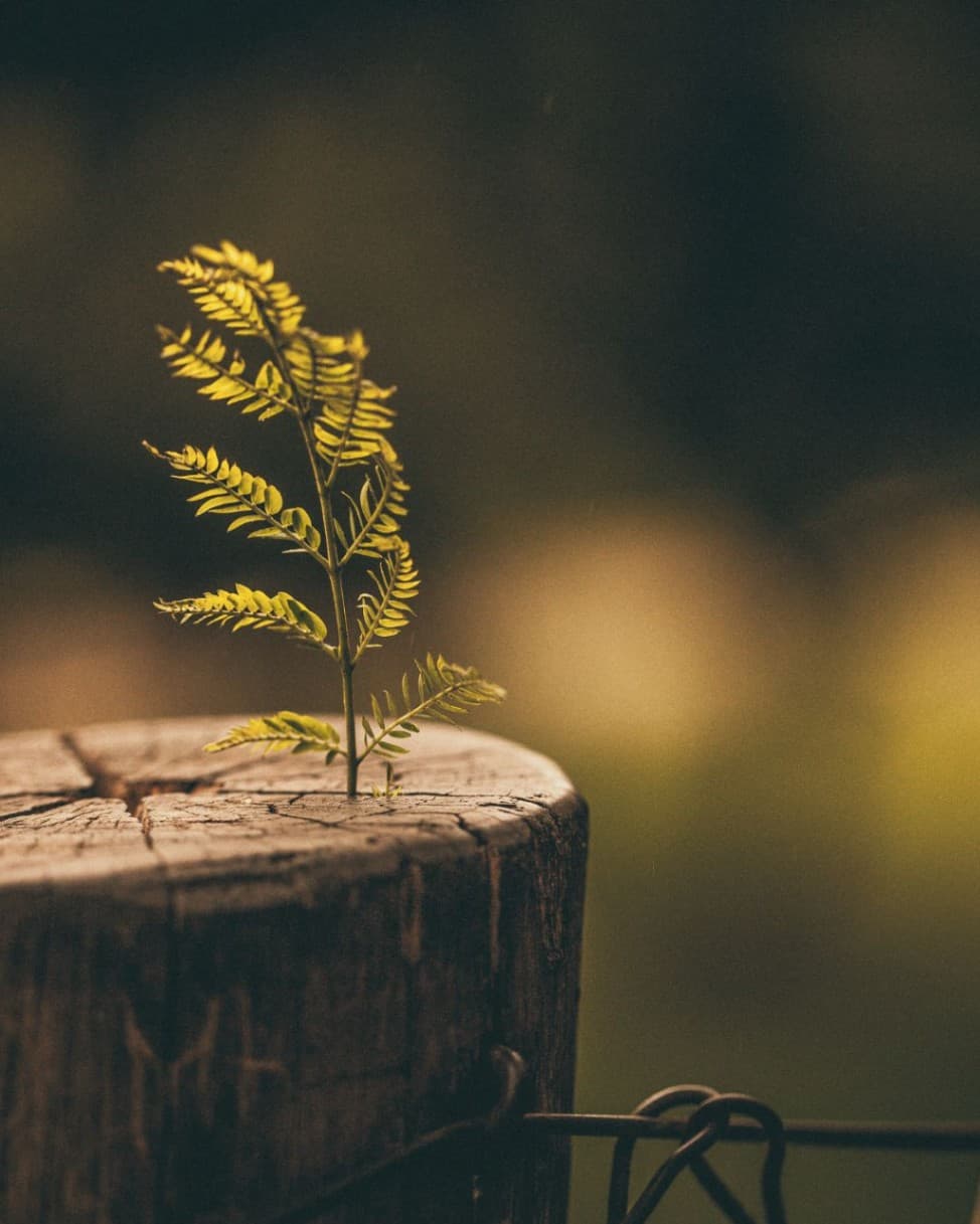 Executive Burnout in 2025: A Comprehensive Analysis